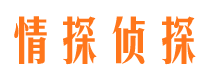 绿园找人公司